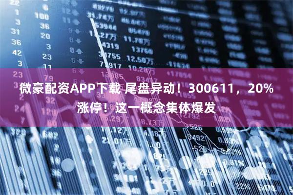 微豪配资APP下载 尾盘异动!300611,20%涨停!这一概念集体爆发