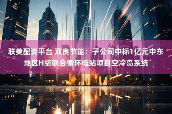 联美配资平台 双良节能：子公司中标1亿元中东地区H级联合循环电站项目空冷岛系统