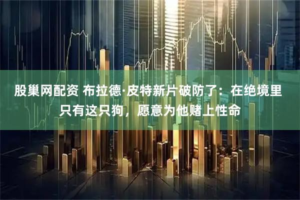 股巢网配资 布拉德·皮特新片破防了：在绝境里 只有这只狗，愿意为他赌上性命