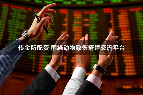 传金所配资 围绕动物致伤搭建交流平台